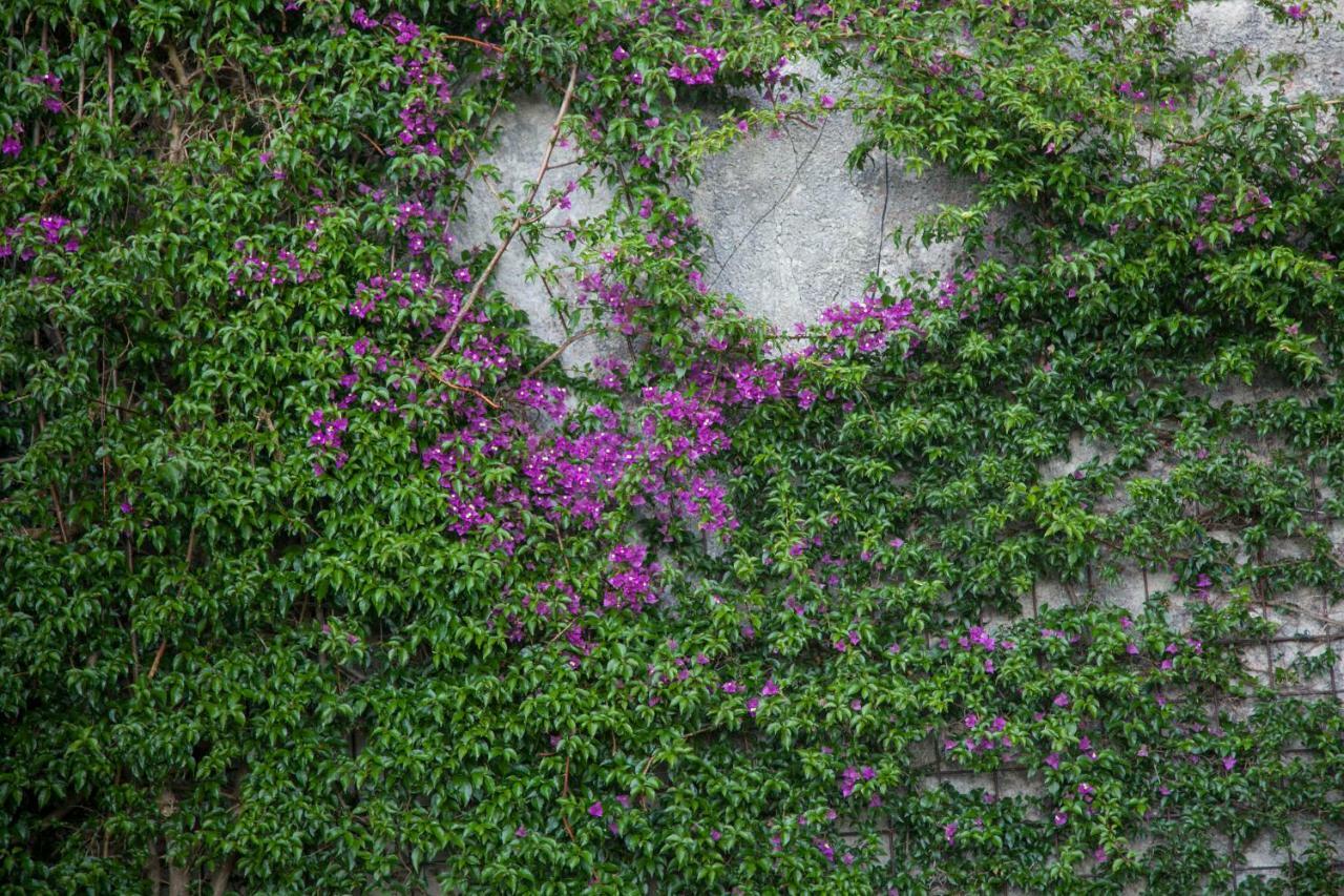 Abelardo'S Home Ribadesella Bagian luar foto